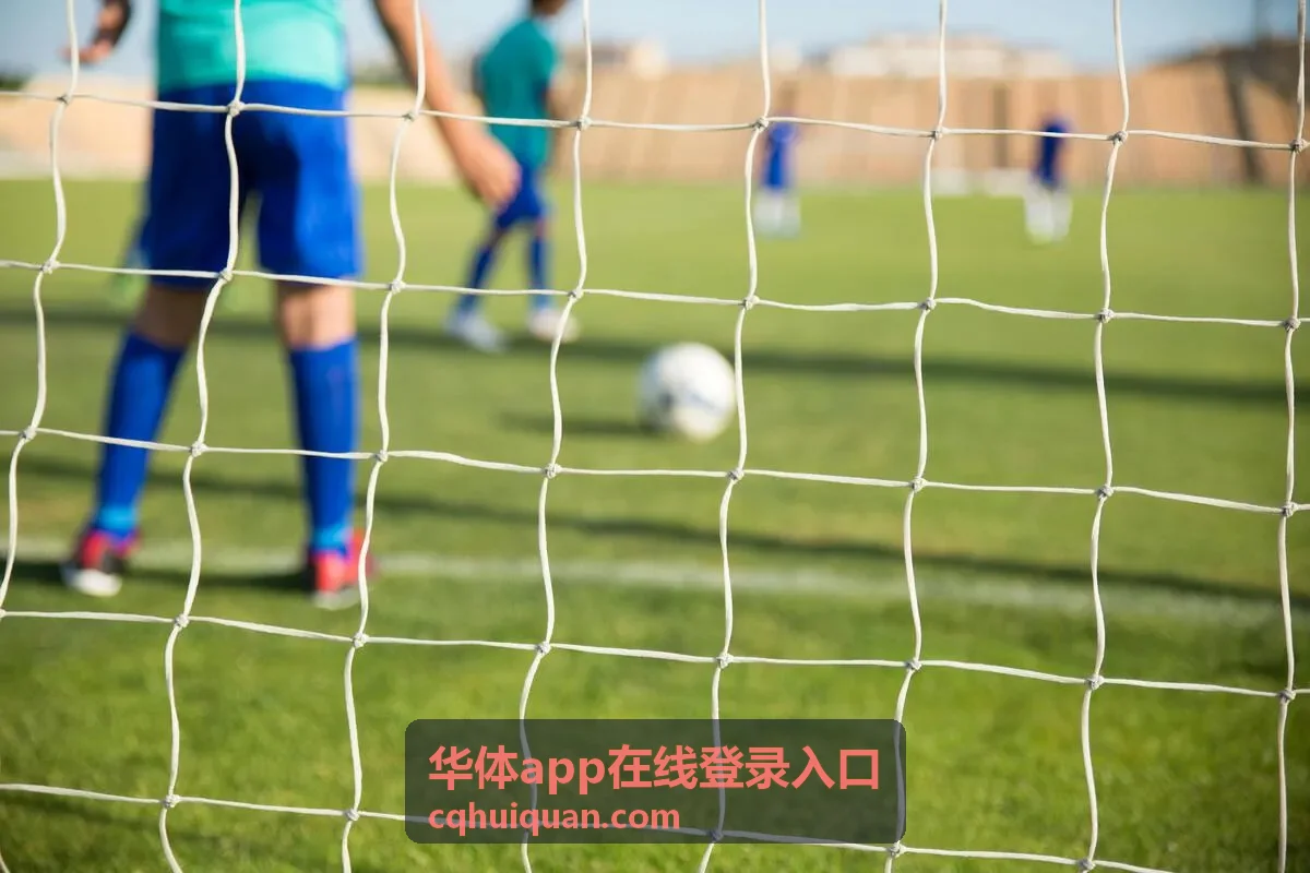 华体app在线登录入口技术统计图解封面